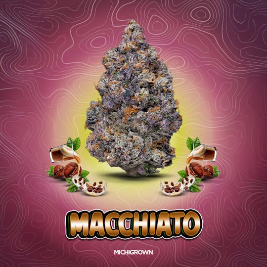 MICHIGROWN - Macchiato - 3.5 Grams Premium Flower - Jars - 1