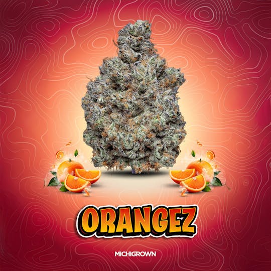 MICHIGROWN - Orangez - 3.5 Grams Premium Flower - Jar - 1