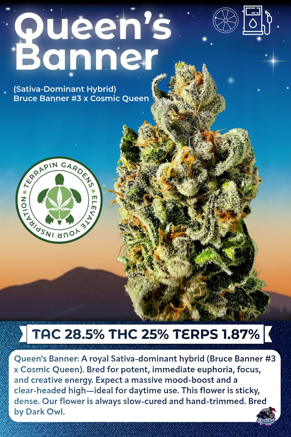 Terrapin Gardens - Queen's Banner Bulk Flower - 1