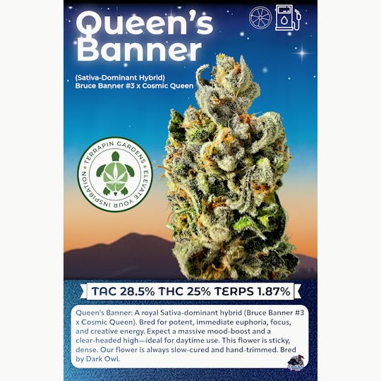 Terrapin Gardens - Queen's Banner Bulk Flower - 1