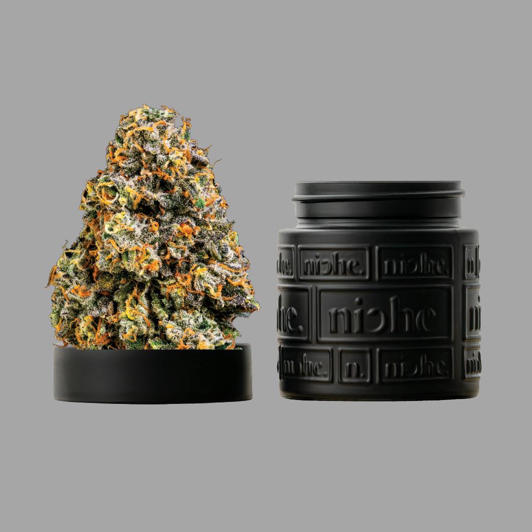 Niche - Yellow Mermaid | 3.5g - 1