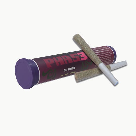 SunMed Growers - OG Kush Pre Roll 0.5g/2 Pack - 1