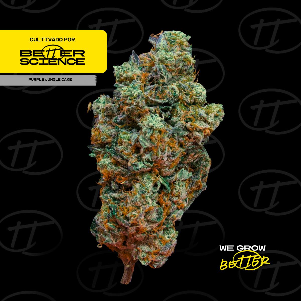 Better Science - BSC - Purple Jungle Cake 5 - Flor - 1