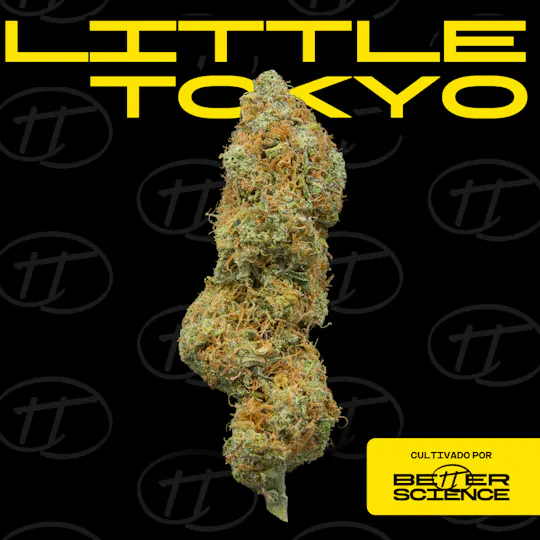 Better Science - BSC - Little Tokyo 1 - Flor - 1