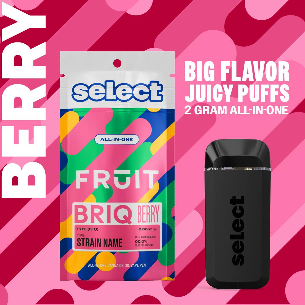 Select - Essentials Blackberry Blast Fruit BRIQ 2g - 1