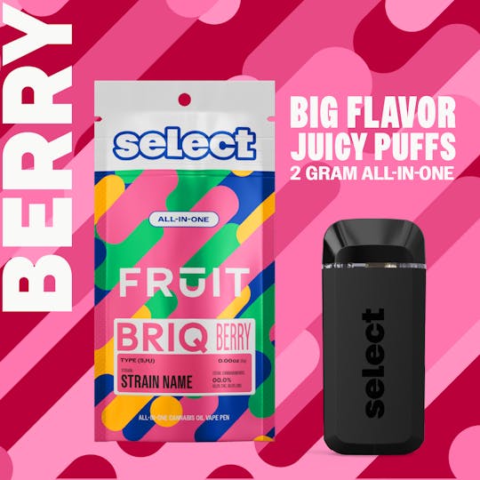 Select - Essentials Blackberry Blast Fruit BRIQ 2g - 1