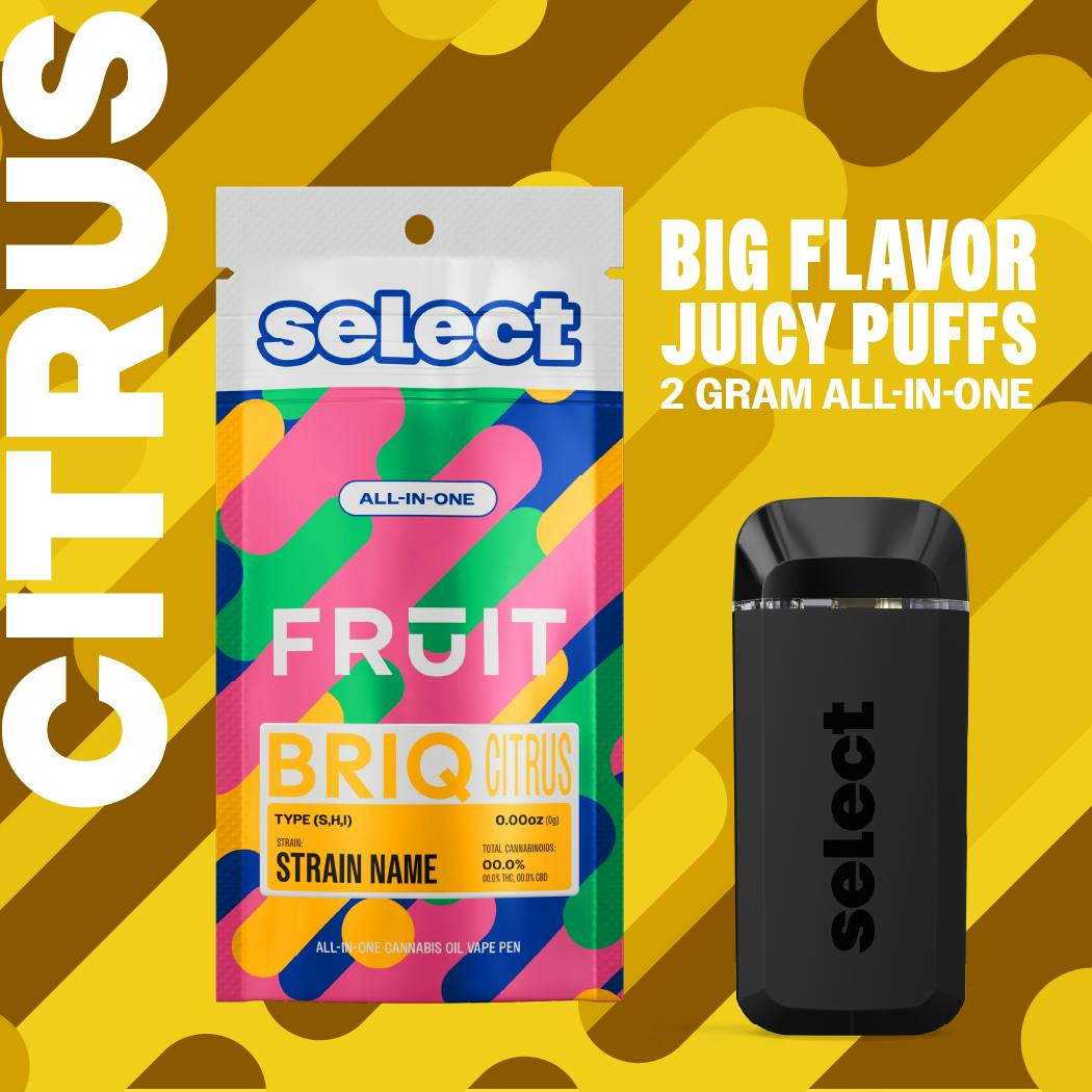 Select - Essentials Lemon Sunset Fruit BRIQ 2g - 1