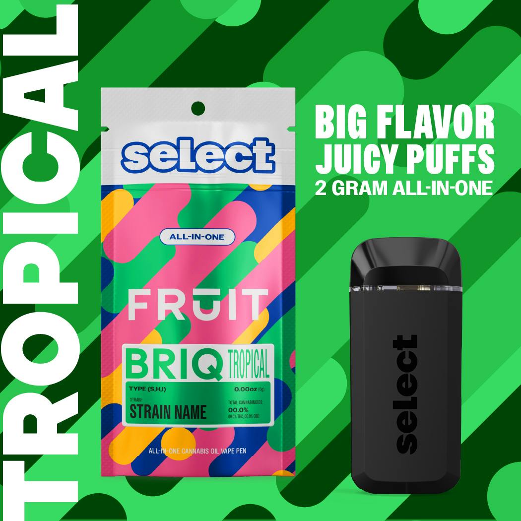 Select - Essentials Go Go Guava Fruit BRIQ 2g - 1
