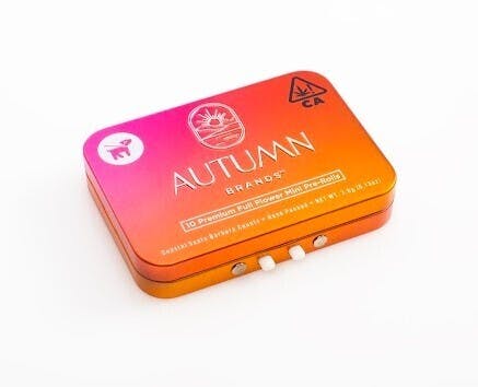 Autumn Brands - Mini Preroll 10pk Hybrid ErrTime - 1