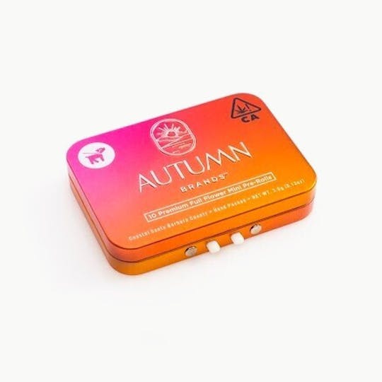 Autumn Brands - Mini Preroll 10pk Hybrid ErrTime - 1