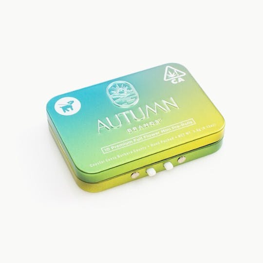 Autumn Brands - Mini Preroll 10pk Sativa Lemon Love - 1