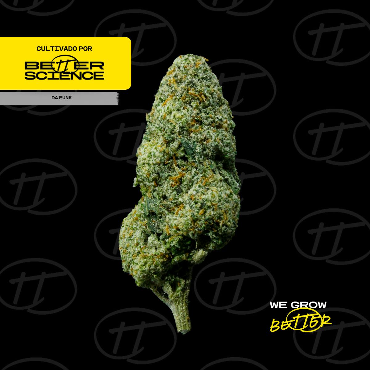 Better Science - BSC - Da Funk 1 - Flor - 1