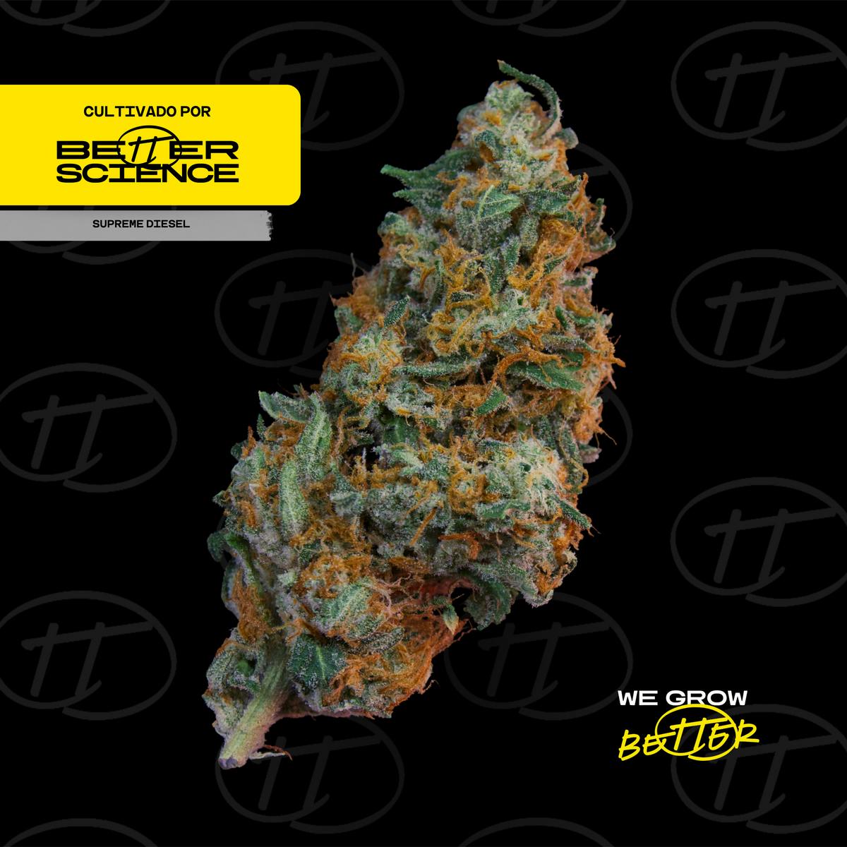 Better Science - BSC - Supreme Diesel - Flor - 1