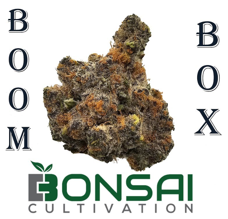 Bonsai Cultivation - Bonsai Cultivation | BoomBox | Flower - 1