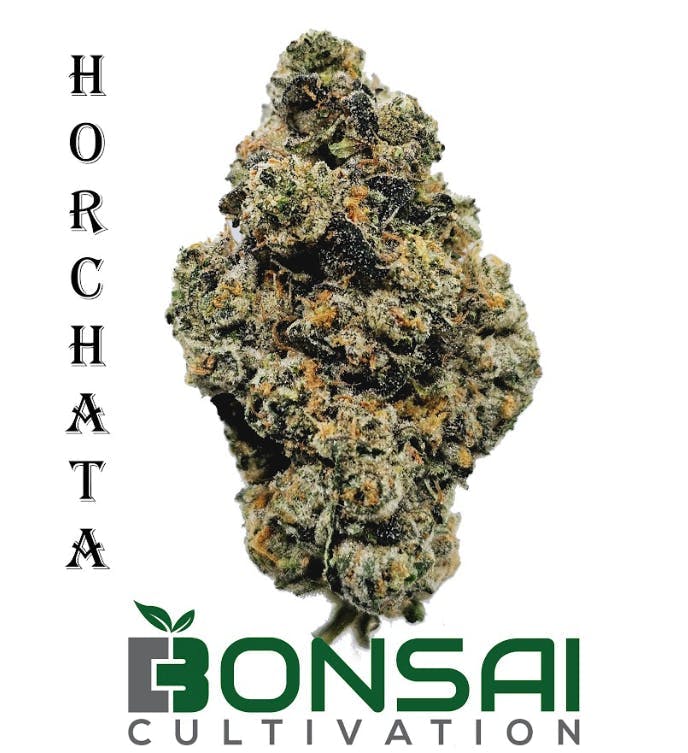 Bonsai Cultivation - Bonsai Cultivation | Horchata | Flower - 1