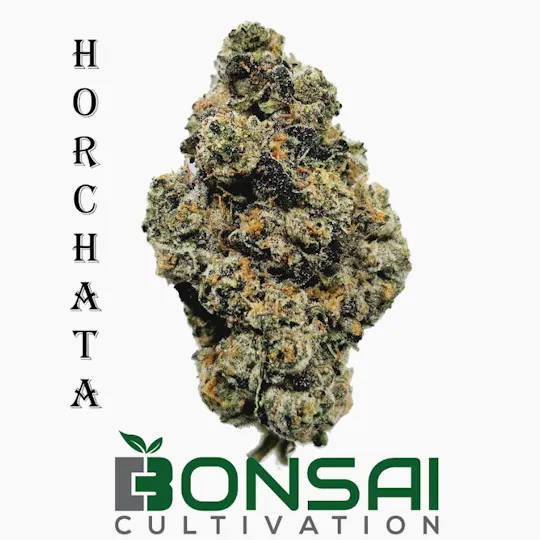 Bonsai Cultivation - Bonsai Cultivation | Horchata | Flower - 1