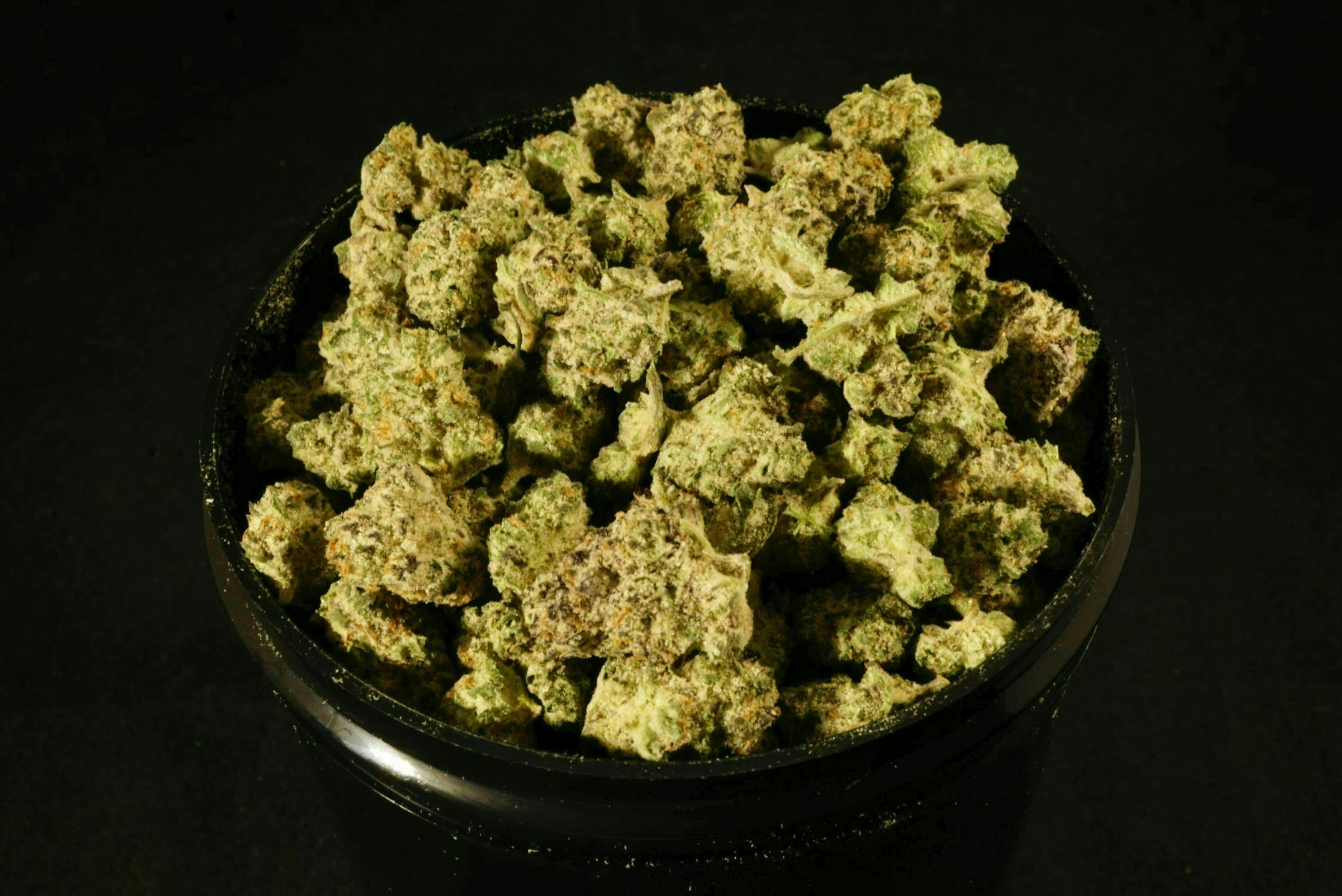 Bonsai Cultivation - Bonsai Cultivation | Dante's Inferno | Big Buds - 1