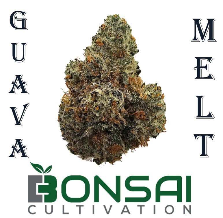 Bonsai Cultivation - Bonsai Cultivation | Guava Melt | Flower - 1