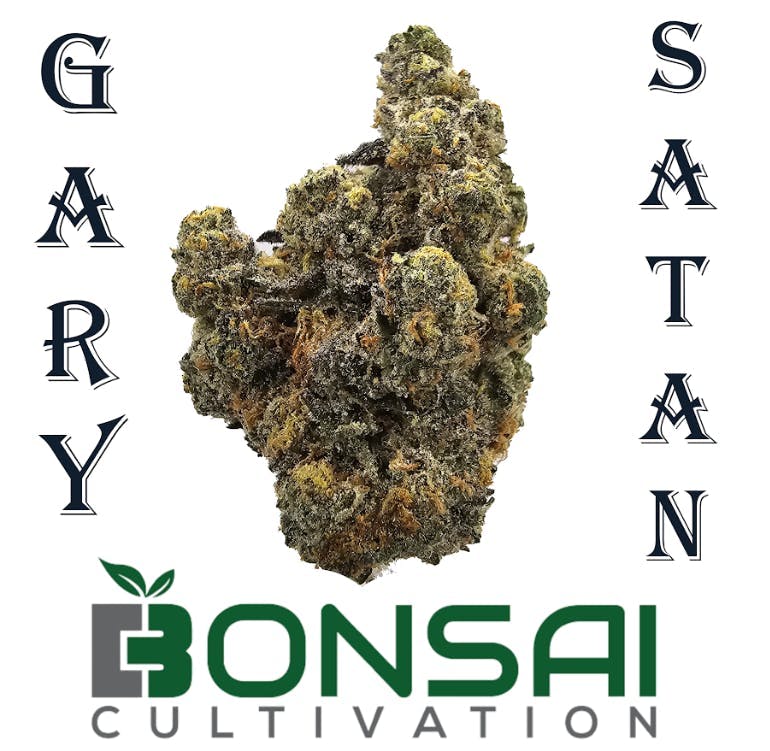 Bonsai Cultivation - Bonsai Cultivation | Gary Satan | Flower - 1