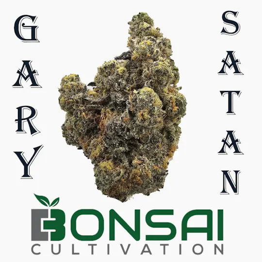 Bonsai Cultivation - Bonsai Cultivation | Gary Satan | Flower - 1