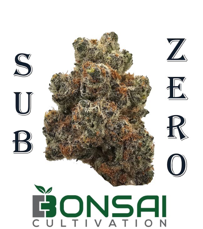 Bonsai Cultivation - Bonsai Cultivation | Subzero | Flower - 1