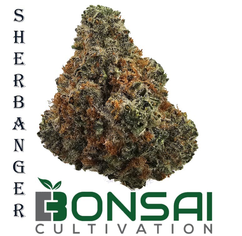 Bonsai Cultivation - Bonsai Cultivation | Sherbanger | Flower - 1