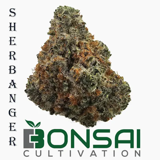Bonsai Cultivation - Bonsai Cultivation | Sherbanger | Flower - 1