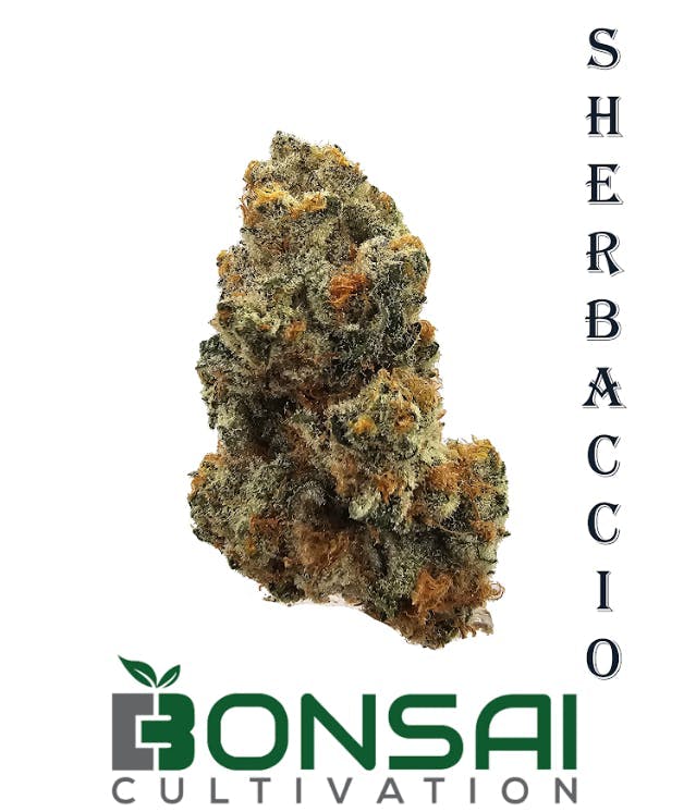 Bonsai Cultivation - Bonsai Cultivation | Sherbaccio | Flower - 1