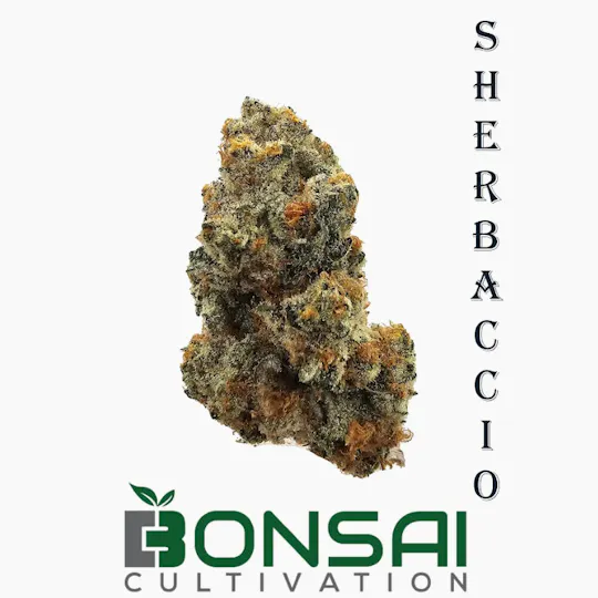 Bonsai Cultivation - Bonsai Cultivation | Sherbaccio | Flower - 1
