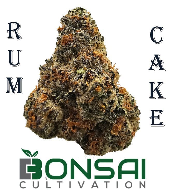 Bonsai Cultivation - Bonsai Cultivation | Rum Cake | Flower - 1