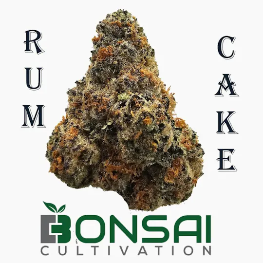 Bonsai Cultivation - Bonsai Cultivation | Rum Cake | Flower - 1