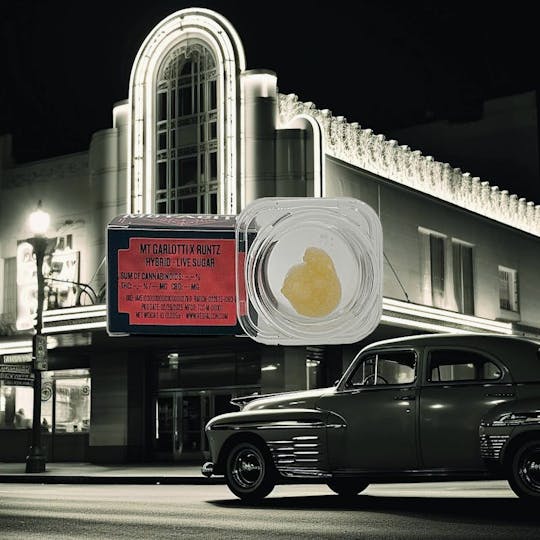 Motacito - Motacito Garlotti x Runtz 1g Live Sugar - 1