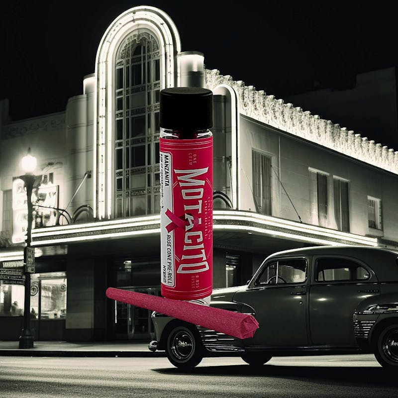 Motacito - Motacito Manzanita 1g RseCne DIPR - 1