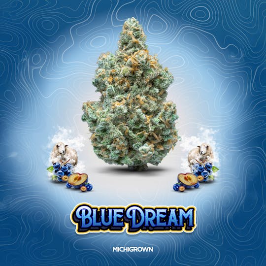 MICHIGROWN - BLUE DREAM - 3.5 GRAMS - PREMIUM FLOWER - JARS - 1