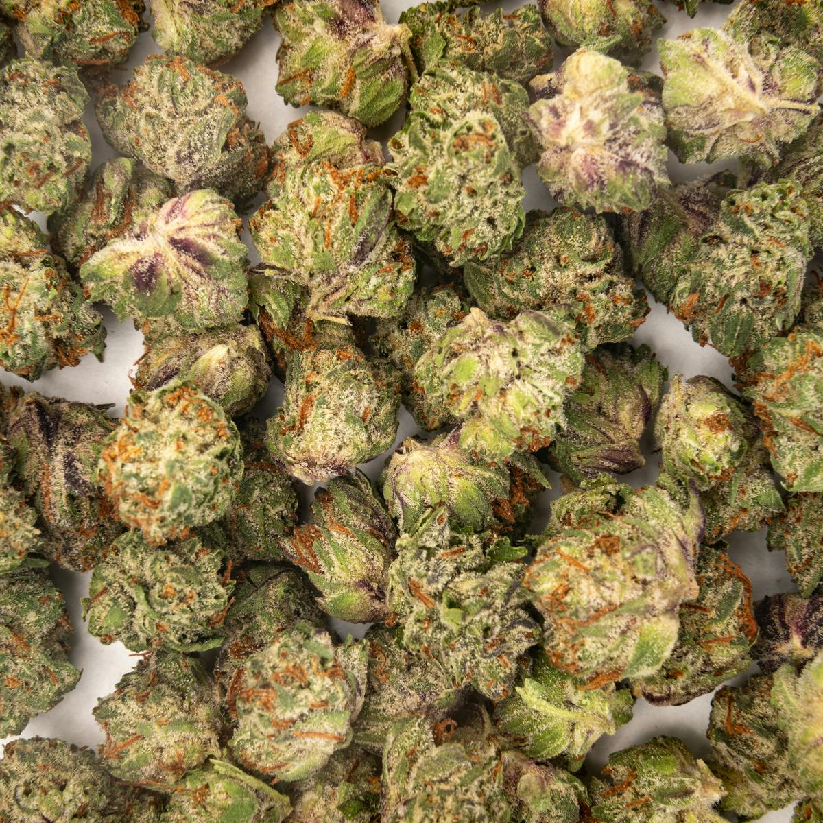 Time Machine - Garlic OZ Indica (7g) - 1