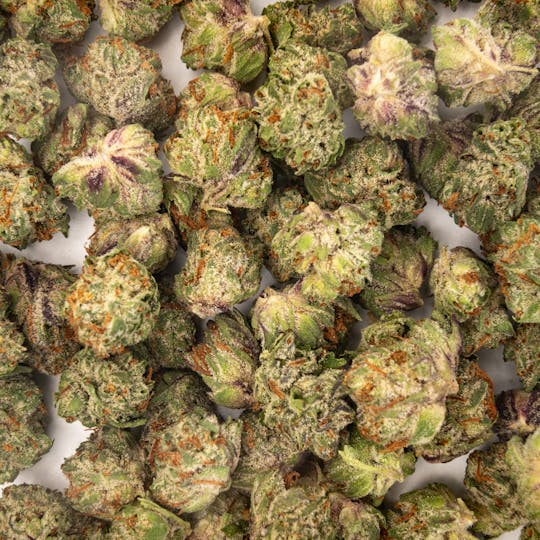 Time Machine - Garlic OZ Indica (14g) - 1