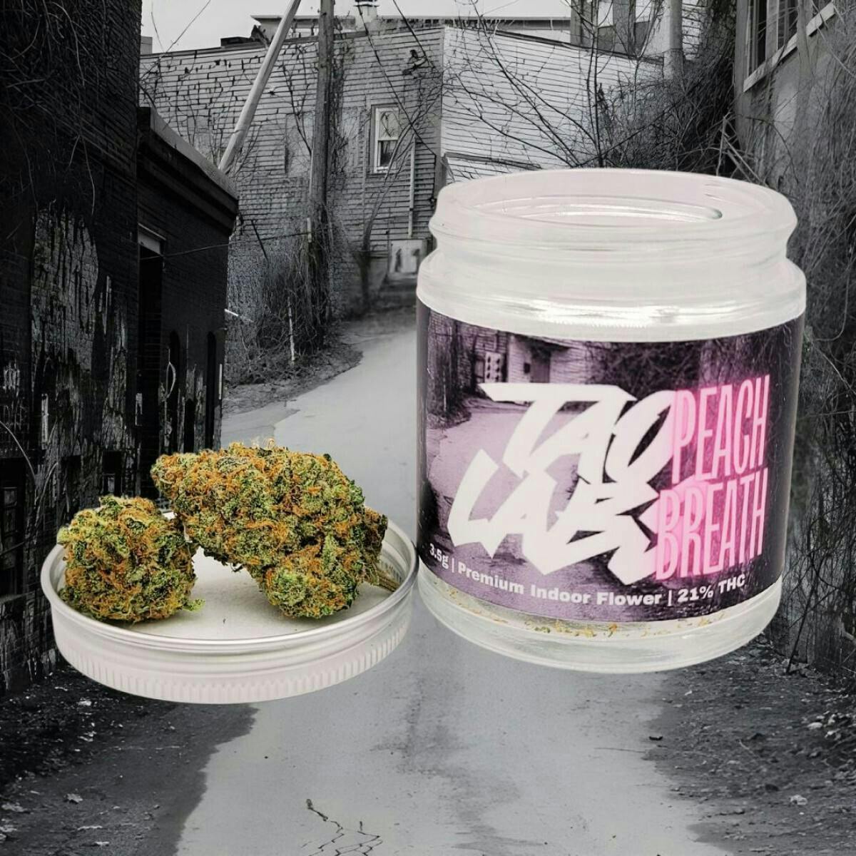 Tao Labs - Tao Labs | Peach Breath | Big Buds | 3.5g - 1