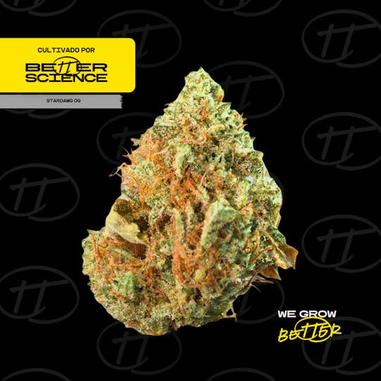 Better Science - BSC - Stardawg OG 1 - Flor - 1