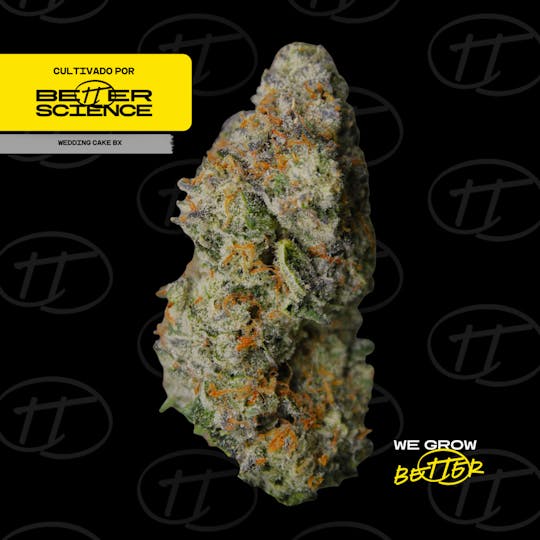 Better Science - BSC - Wedding Cake BX 2 - Flor - 1