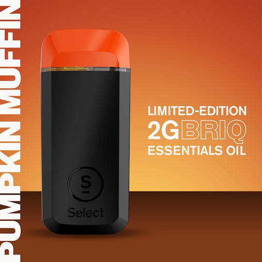 Select - BRIQ Essentials All in one - Pumpkin Muffin 2g - 1