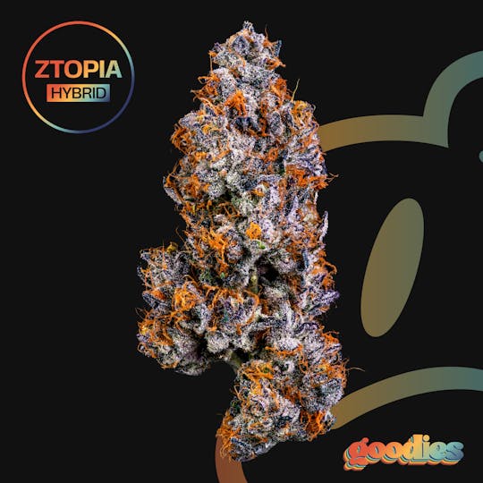 Goodies by Niche - Ztopia | 7g Whole Flower - 1