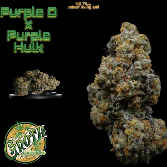 Groth Industries - Groth Industries | Purple D x Purple Hulk | Flower | 14G - 1