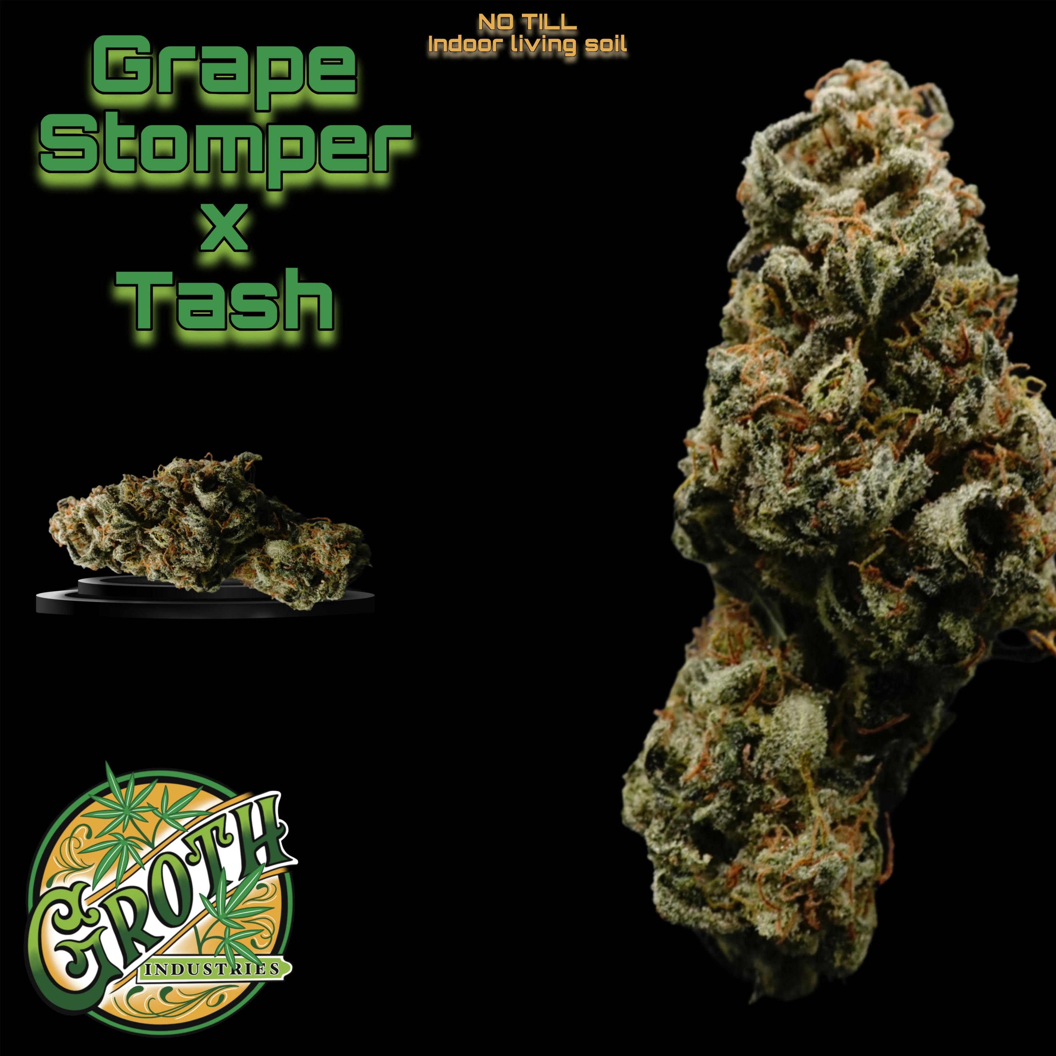 Groth Industries - Groth Industries | Grape Stomper | Flower | 3.5G - 1