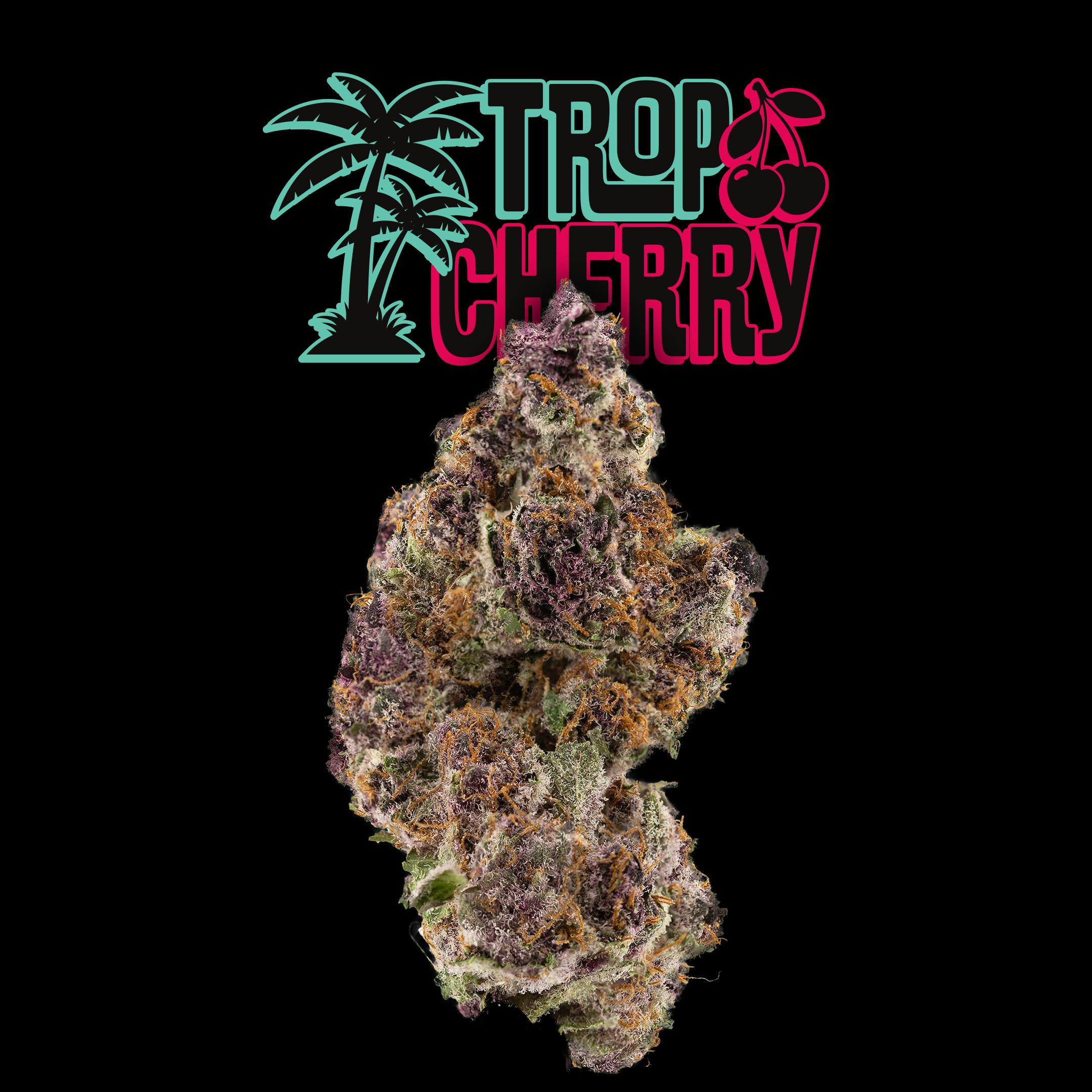 Uplyfted Cannabis Co - Trop Cherry Bulk Deli Flower - 1