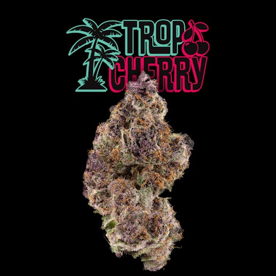 Uplyfted Cannabis Co - Trop Cherry Bulk Deli Flower - 1