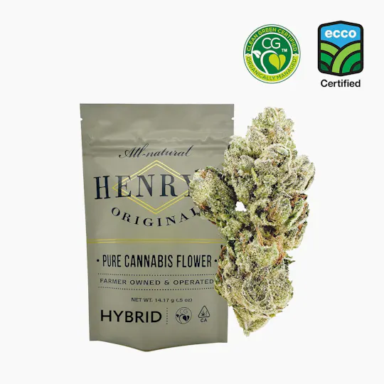 Henry's Original - Henry's Original | Superglue | Pouch Big Buds | 14g - 1