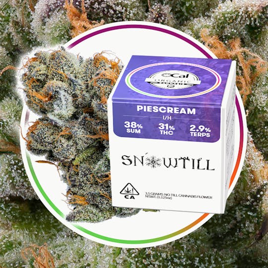 Snowtill - Piescream (I/H) - 1