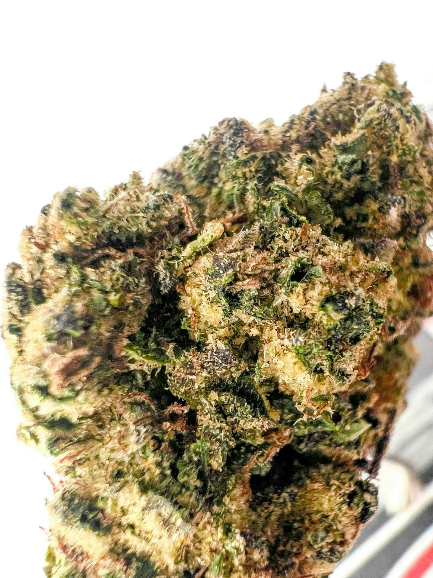 Off The Path Cannabis - White Runtz - Hybrid - 28g - Flower - 1