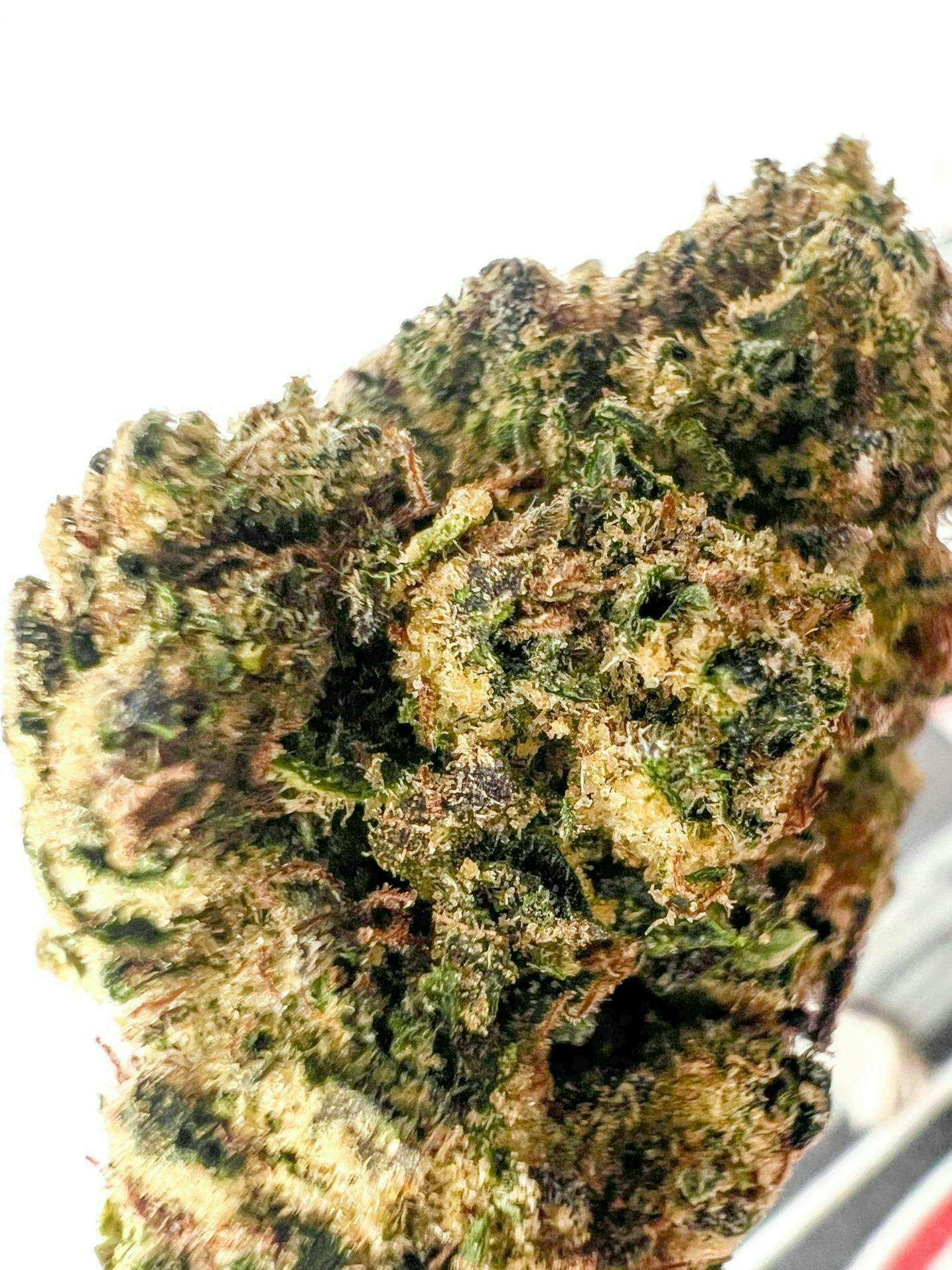 Off The Path Cannabis - Off The Path Cannabis | White Runtz | Big Buds | 28g - 1