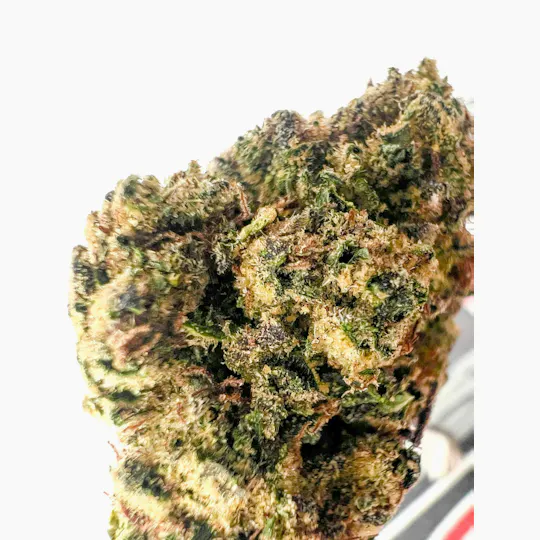 Off The Path Cannabis - Off The Path Cannabis | White Runtz | Big Buds | 28g - 1